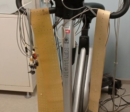 Основные меры профилактики сердечно-сосудистых заболеваний 