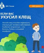 Внимание: сезон активности клещей начался раньше обычного!