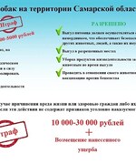 Внимание! Владельцам собак!