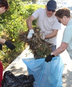 Марафон чистоты