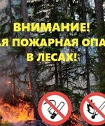 ️Высокая пожароопасность лесов️