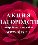 XXVIII областная общественная Акция «Благородство»