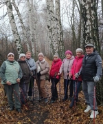 Всероссийский день ходьбы - Скандинавские прогулки октября.