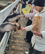 Увлекательная экскурсия
