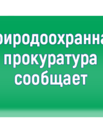 14 марта  состоится личный прием граждан прокурором, советником юстиции Самарской межрайонной природоохранной прокуратуры Головиным М.А.